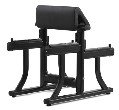 Panca Scott Bench Diamond Professional Serie 350