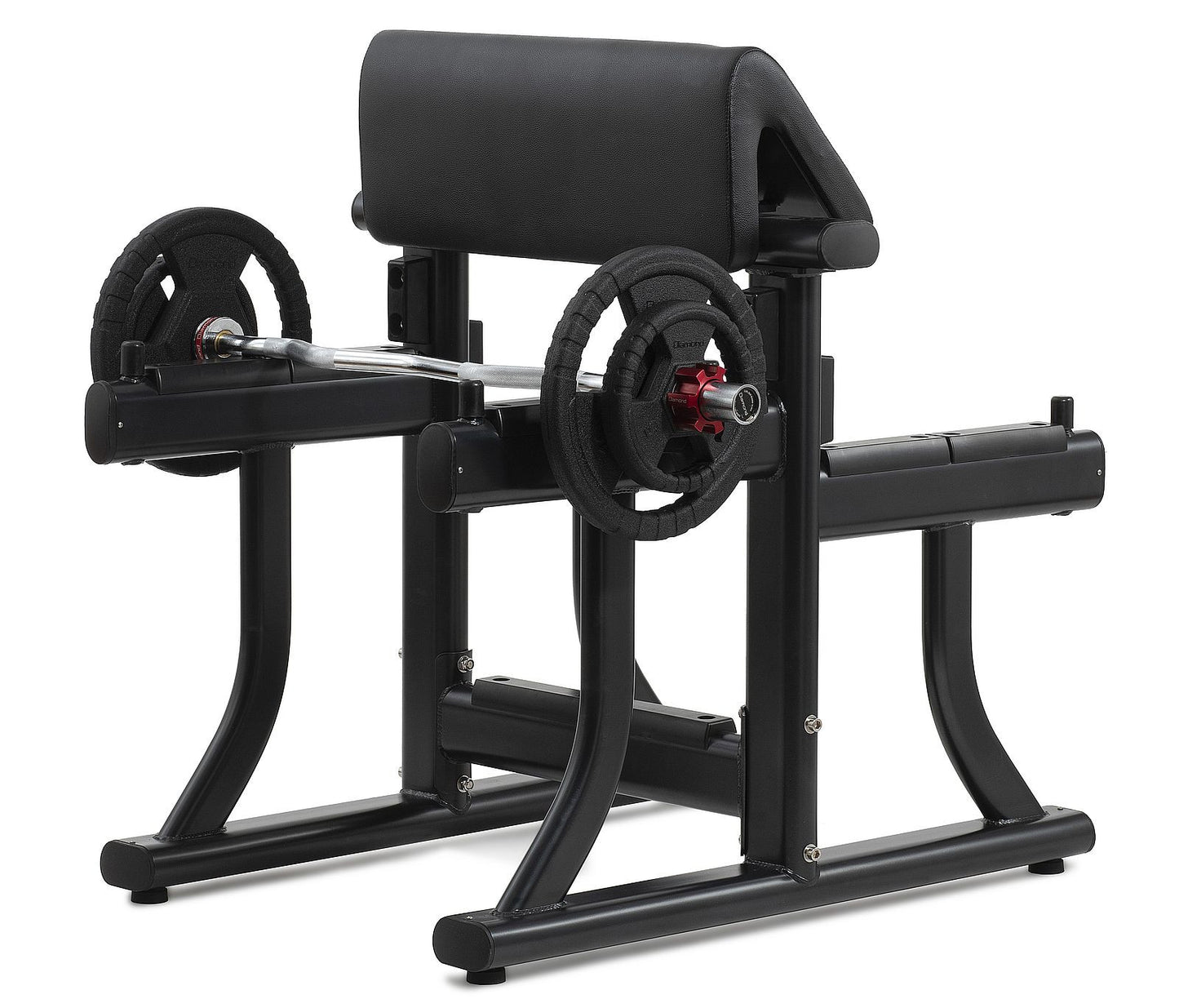 Panca Scott Bench Diamond Professional Serie 350