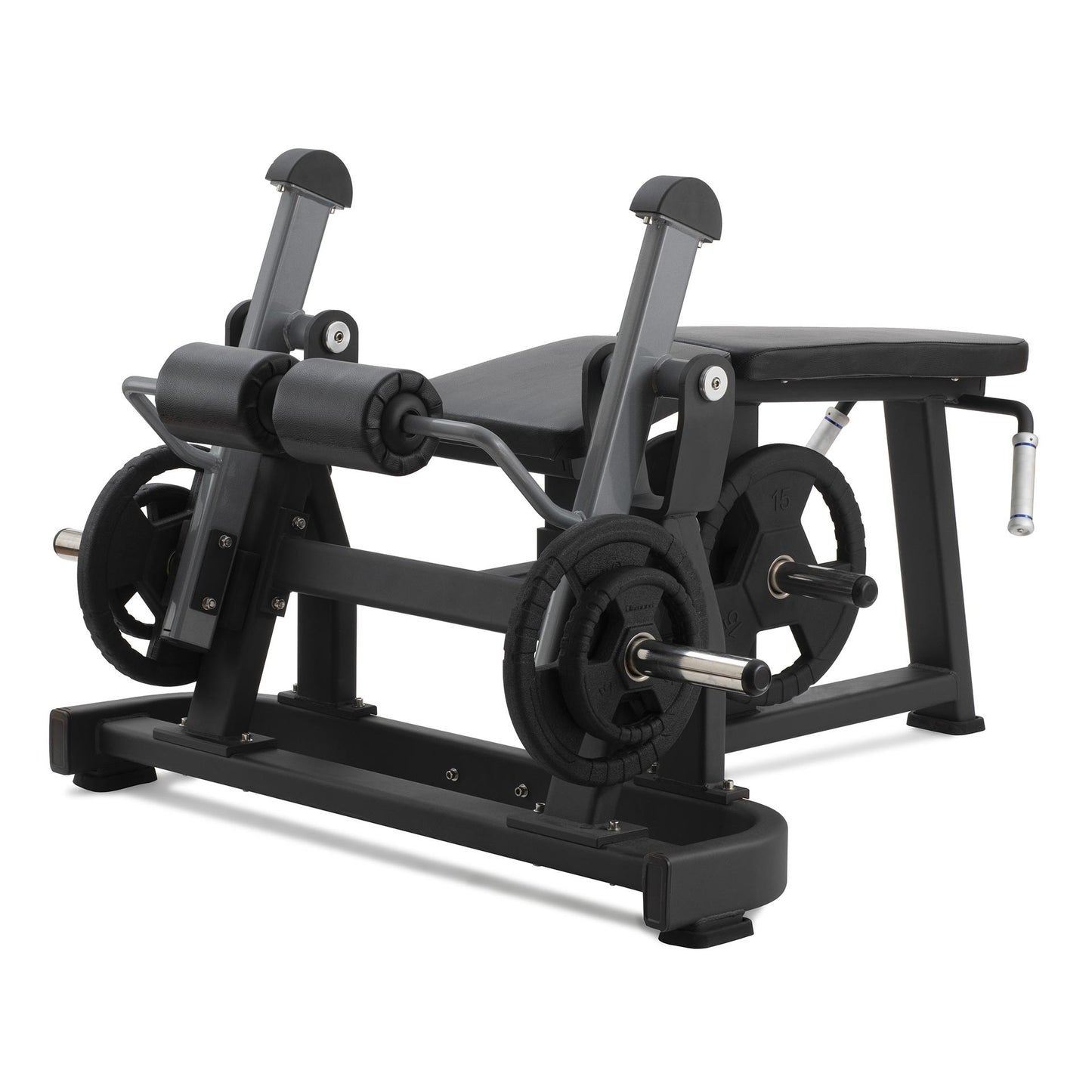 Leg curl Diamond Professional Serie 300