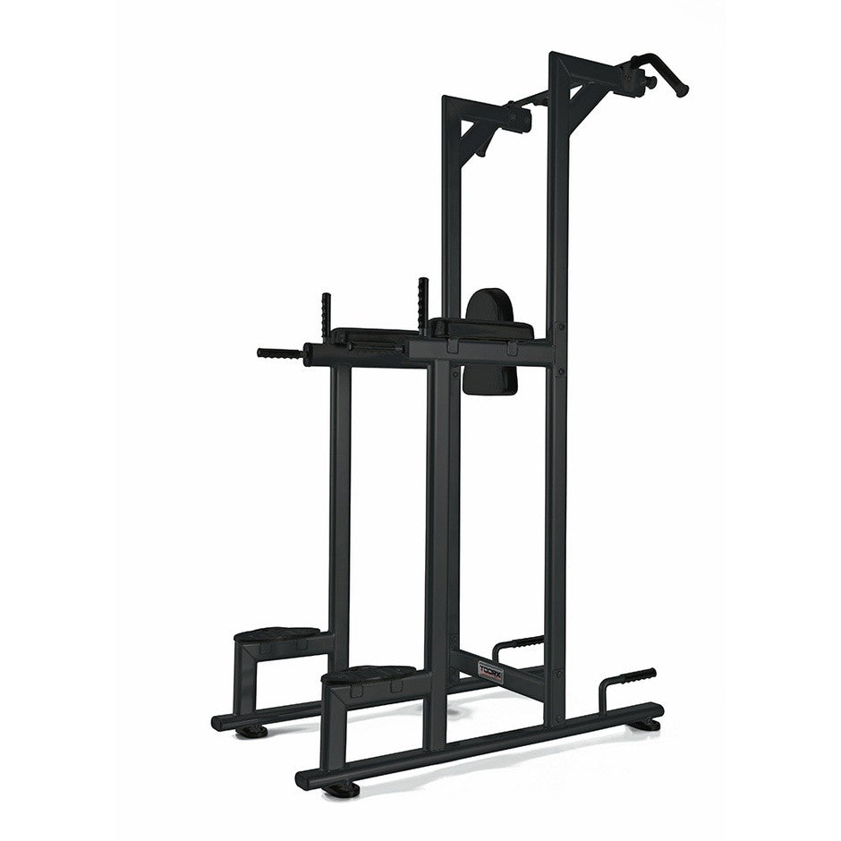 Struttura chin/dip/leg raise WBX 2800 Toorx