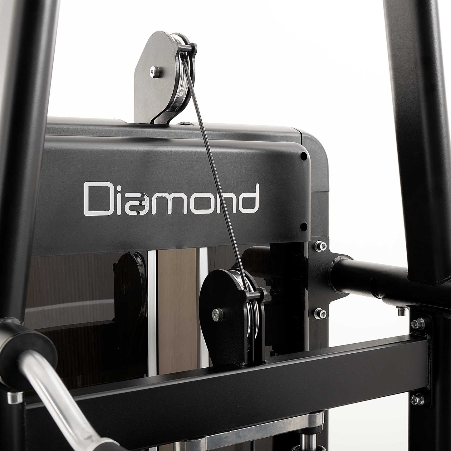 Chin Up/Dip Diamond Professional Serie 550