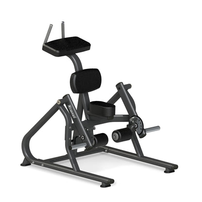 Standing Leg Curl Diamond Professional Serie 300