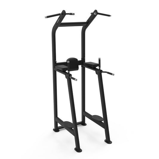 Chin Up/Dip Bench Diamond Professional Serie 550