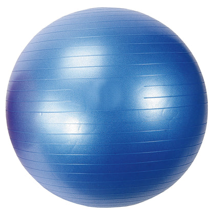 Gym ball Diamond Professional diam. 65cm