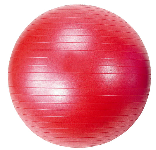 Gym ball Diamond Professional diam. 55cm